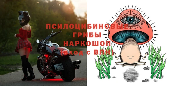 2c-b Гусев