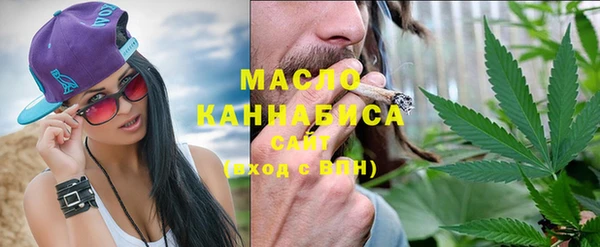индика Елабуга