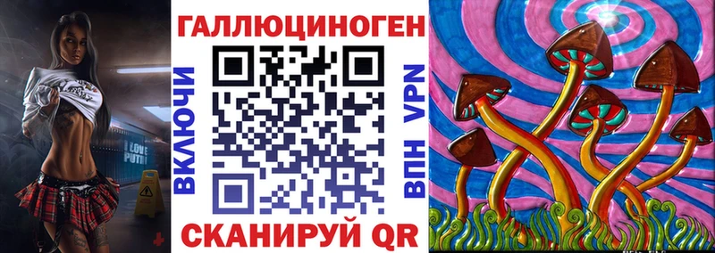 где купить   Дубовка  Галлюциногенные грибы Magic Shrooms 